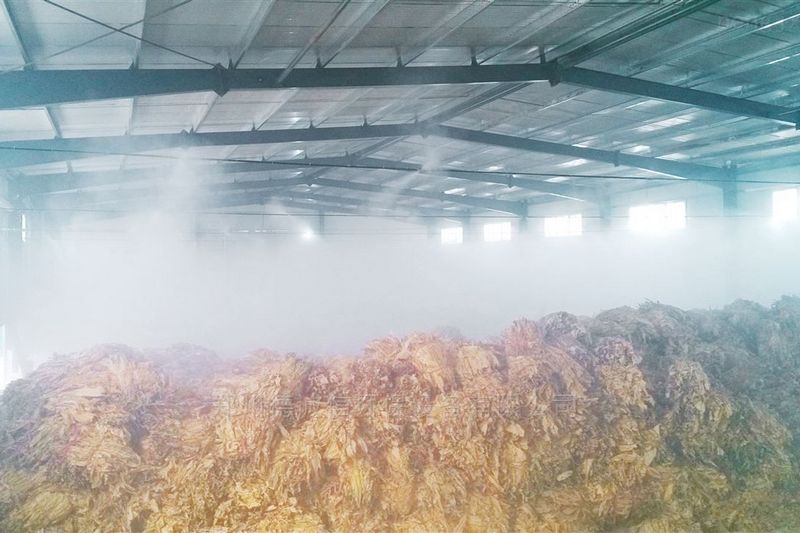 提升煙葉加工質(zhì)量，高效回潮很重要