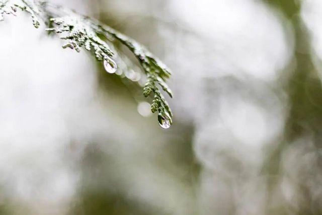 空氣濕度大帶來的危害有哪些，你知道嗎？