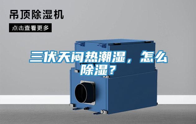 三伏天悶熱潮濕，怎么除濕？