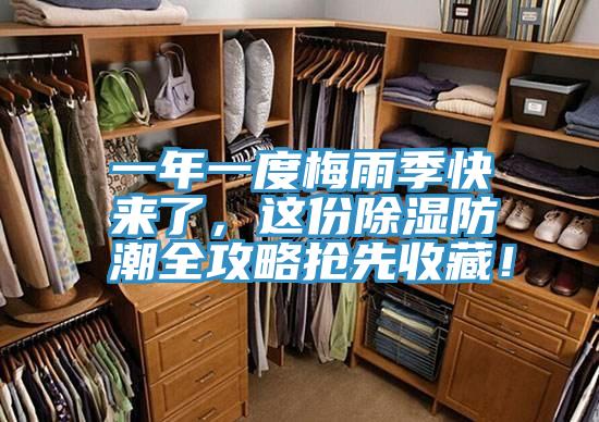 一年一度梅雨季快來了，這份除濕防潮全攻略搶先收藏！