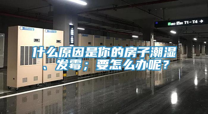 什么原因是你的房子潮濕、發(fā)霉；要怎么辦呢？