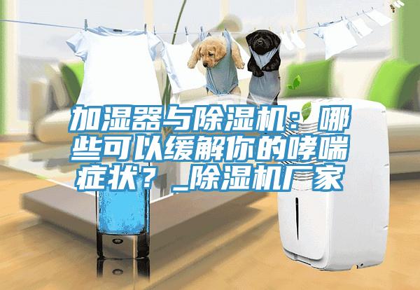 加濕器與除濕機(jī)：哪些可以緩解你的哮喘癥狀？_除濕機(jī)廠家