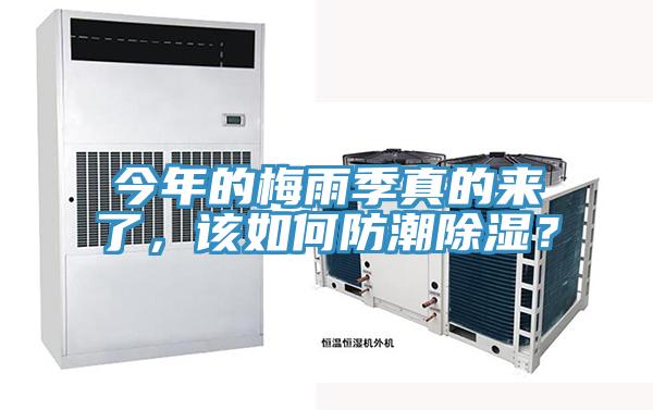 今年的梅雨季真的來(lái)了，該如何防潮除濕？