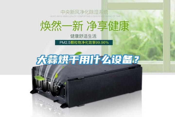 大蒜烘干用什么設(shè)備？