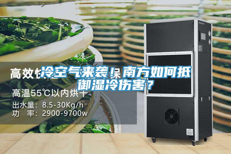 冷空氣來襲！南方如何抵御濕冷傷害？