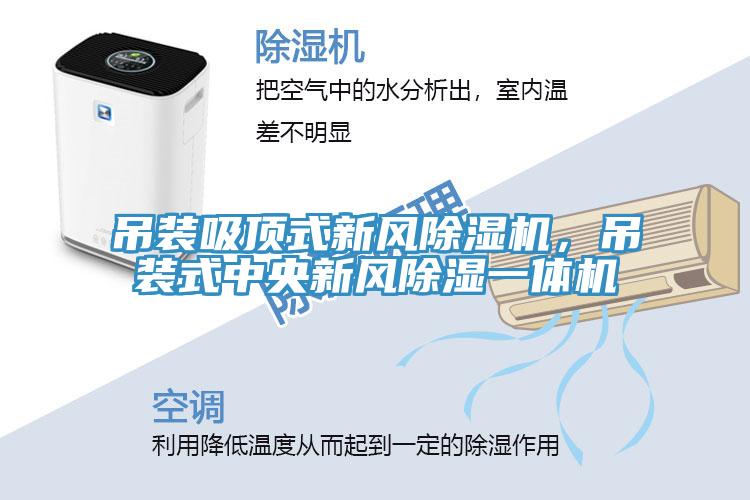 吊裝吸頂式新風(fēng)除濕機(jī)，吊裝式中央新風(fēng)除濕一體機(jī)