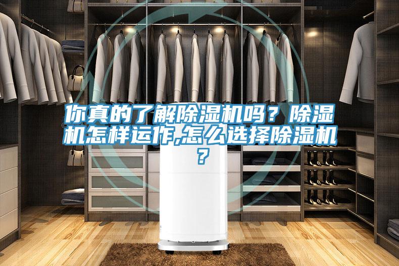 你真的了解除濕機(jī)嗎？除濕機(jī)怎樣運(yùn)作,怎么選擇除濕機(jī)？