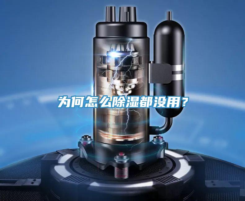 為何怎么除濕都沒用？