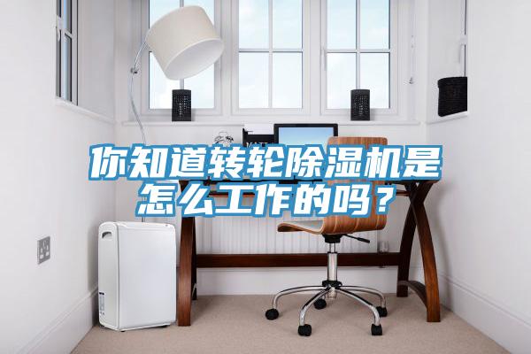 你知道轉(zhuǎn)輪除濕機(jī)是怎么工作的嗎？