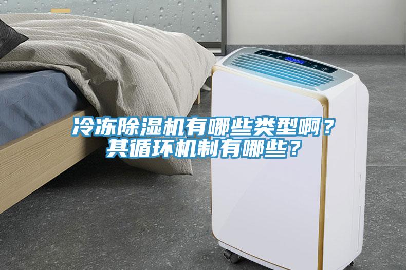 冷凍除濕機有哪些類型??？其循環(huán)機制有哪些？