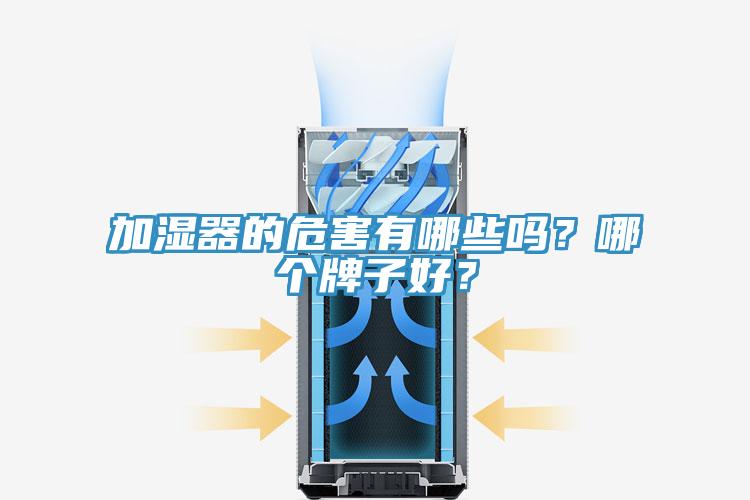 加濕器的危害有哪些嗎？哪個(gè)牌子好？