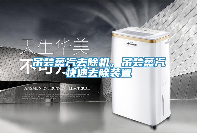 吊裝蒸汽去除機(jī)，吊裝蒸汽快速去除裝置