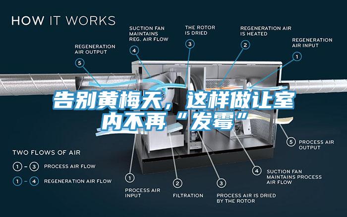 告別黃梅天，這樣做讓室內(nèi)不再“發(fā)霉”