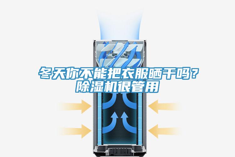冬天你不能把衣服曬干嗎？除濕機(jī)很管用