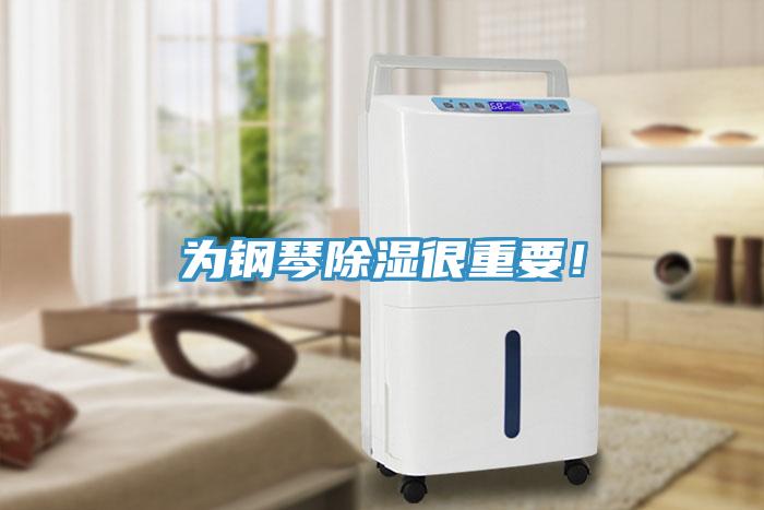 為鋼琴除濕很重要！