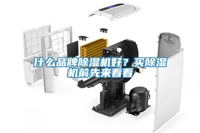 什么品牌除濕機(jī)好？買除濕機(jī)前先來(lái)看看