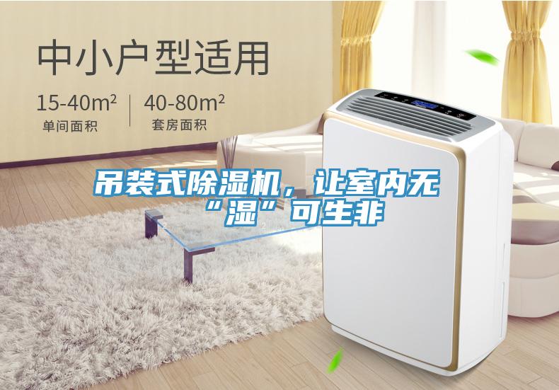 吊裝式除濕機(jī)，讓室內(nèi)無“濕”可生非