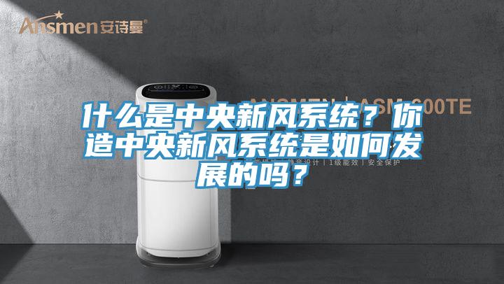 什么是中央新風系統(tǒng)？你造中央新風系統(tǒng)是如何發(fā)展的嗎？