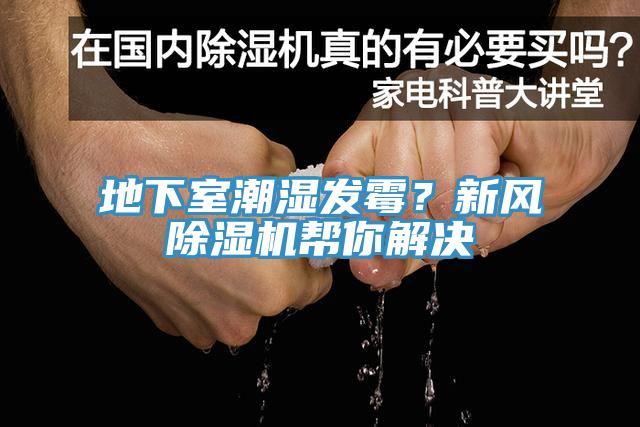 地下室潮濕發(fā)霉？新風(fēng)除濕機(jī)幫你解決