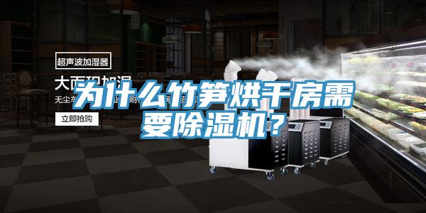 為什么竹筍烘干房需要除濕機(jī)？