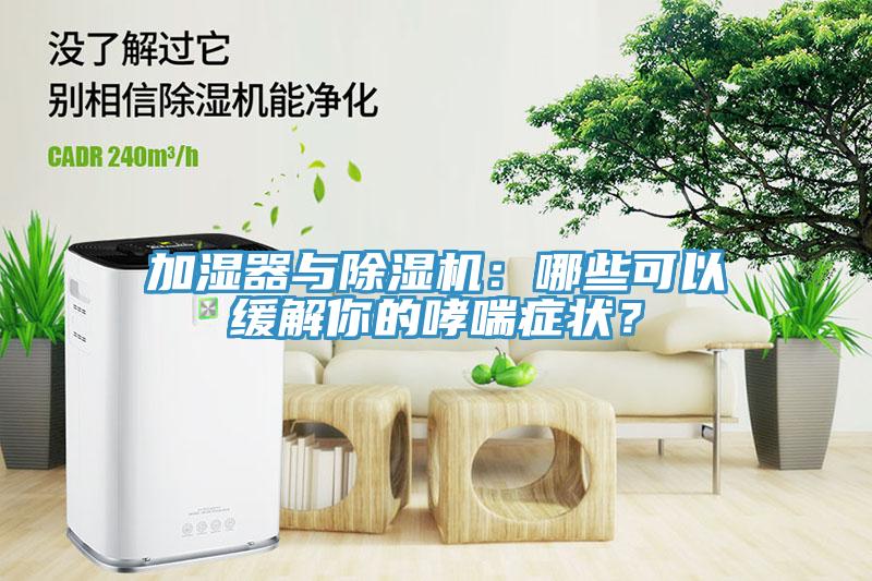 加濕器與除濕機(jī)：哪些可以緩解你的哮喘癥狀？
