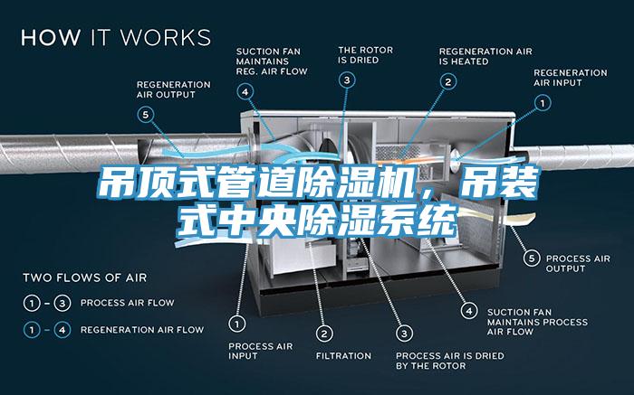 吊頂式管道除濕機(jī)，吊裝式中央除濕系統(tǒng)