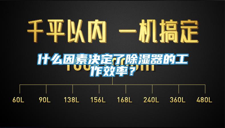 什么因素決定了除濕器的工作效率？