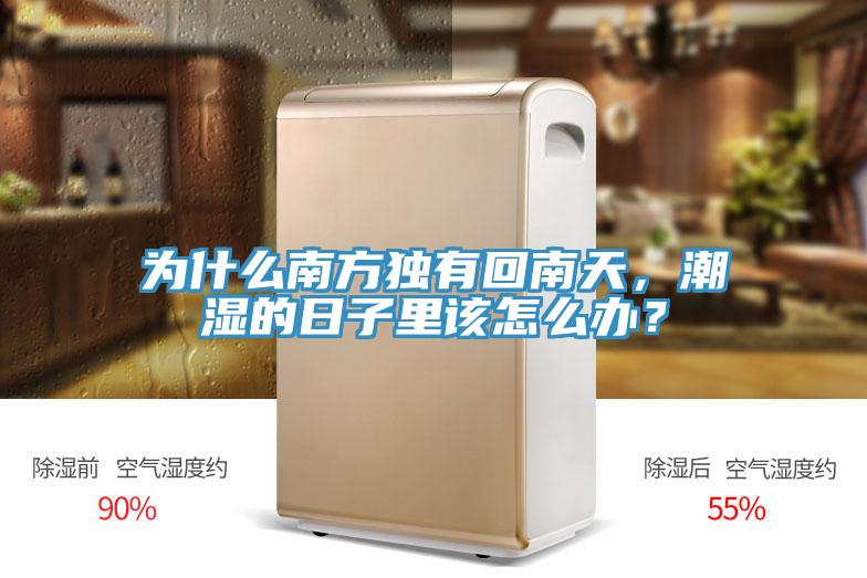 為什么南方獨有回南天，潮濕的日子里該怎么辦？