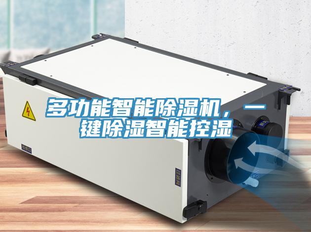 多功能智能除濕機(jī)，一鍵除濕智能控濕