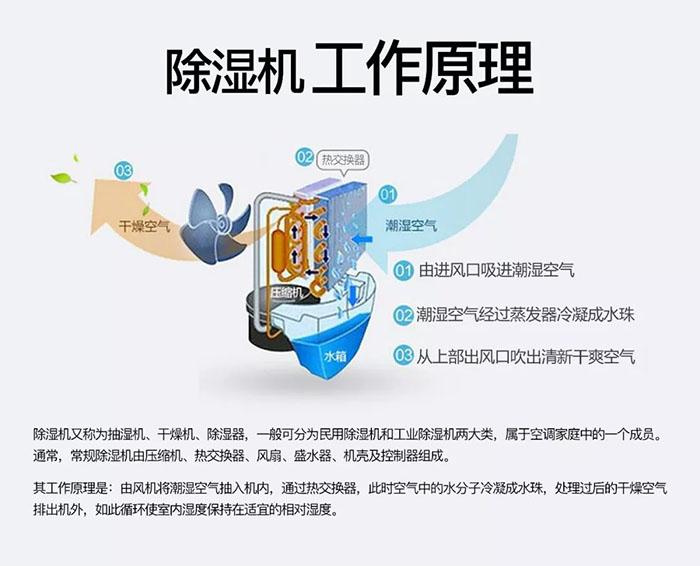商場長時間不營業(yè)潮濕發(fā)霉怎么辦才好？