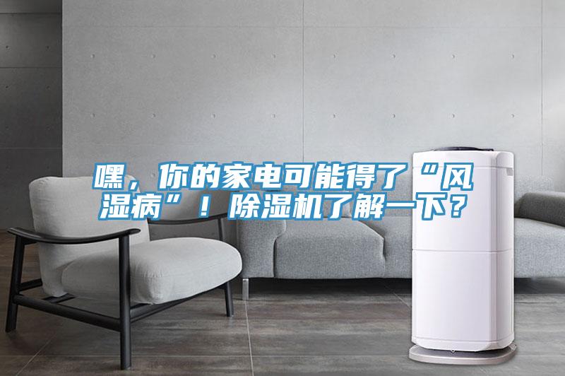嘿，你的家電可能得了“風(fēng)濕病”！除濕機(jī)了解一下？