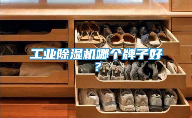 工業(yè)除濕機哪個牌子好？