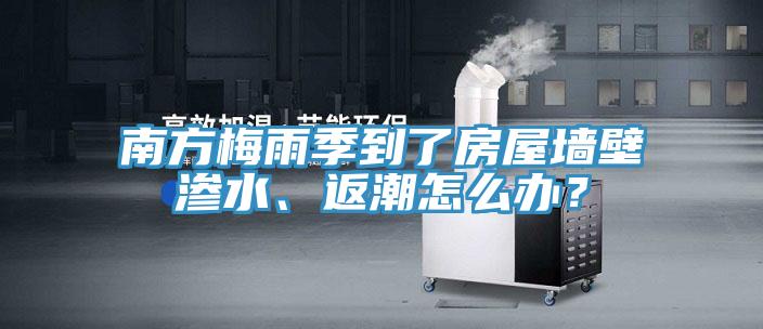 南方梅雨季到了房屋墻壁滲水、返潮怎么辦？