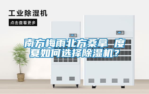 南方梅雨北方桑拿 度夏如何選擇除濕機(jī)？