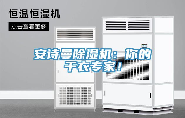 安詩曼除濕機：你的干衣專家！