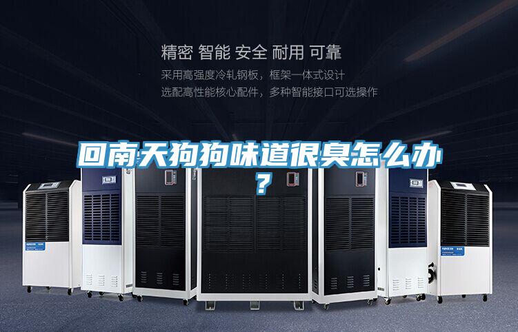 回南天狗狗味道很臭怎么辦？