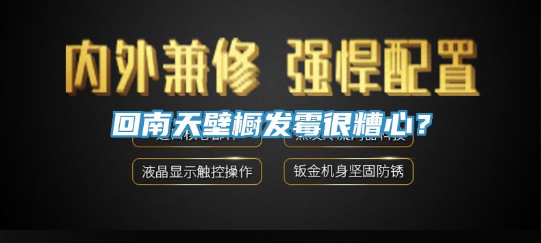 回南天壁櫥發(fā)霉很糟心？
