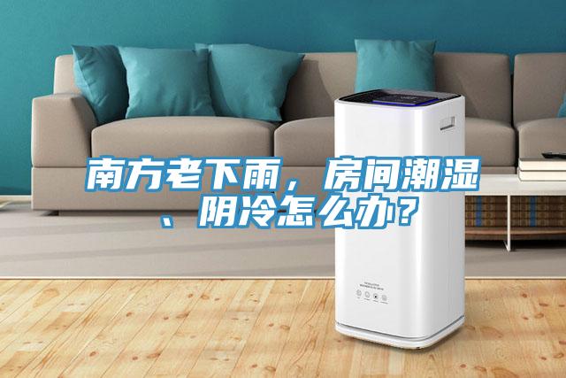 南方老下雨，房間潮濕、陰冷怎么辦？