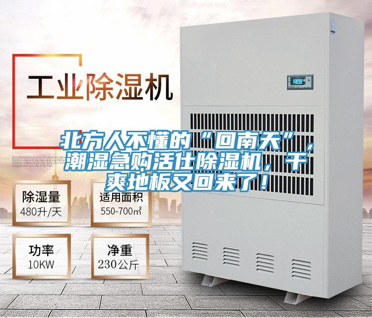 北方人不懂的“回南天”，潮濕急購活仕除濕機(jī)，干爽地板又回來了！
