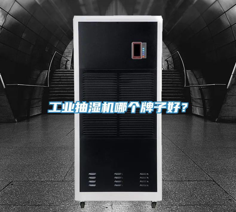 工業(yè)抽濕機(jī)哪個(gè)牌子好？
