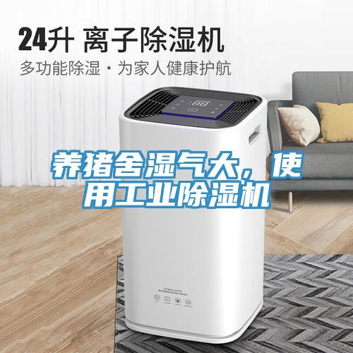 養(yǎng)豬舍濕氣大，使用工業(yè)除濕機(jī)