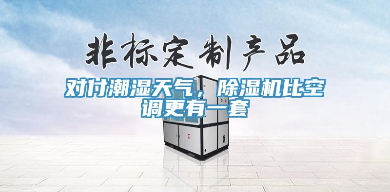 對付潮濕天氣，除濕機比空調(diào)更有一套