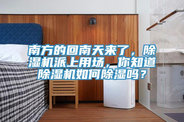 南方的回南天來了，除濕機(jī)派上用場(chǎng)，你知道除濕機(jī)如何除濕嗎？