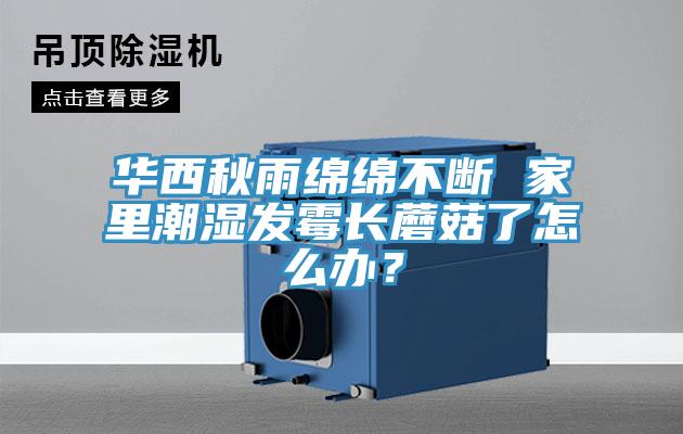 華西秋雨綿綿不斷 家里潮濕發(fā)霉長(zhǎng)蘑菇了怎么辦？