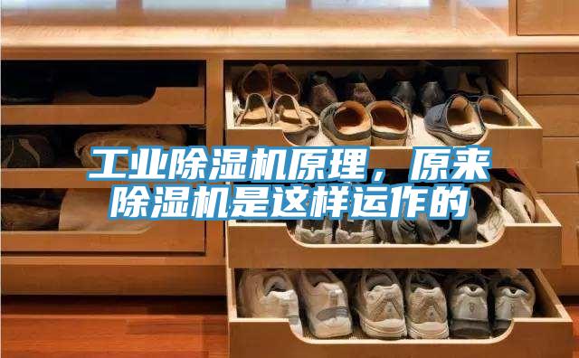工業(yè)除濕機(jī)原理，原來(lái)除濕機(jī)是這樣運(yùn)作的