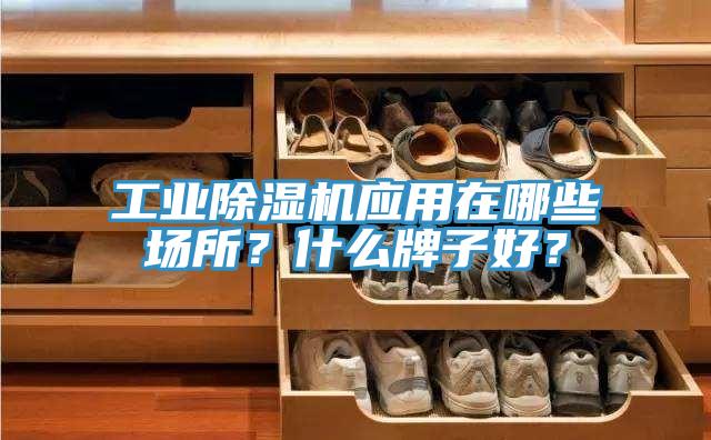 工業(yè)除濕機(jī)應(yīng)用在哪些場所？什么牌子好？