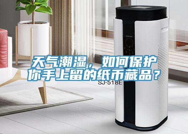 天氣潮濕，如何保護(hù)你手上留的紙幣藏品？
