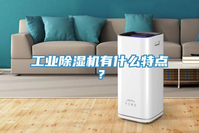 工業(yè)除濕機(jī)有什么特點(diǎn)？