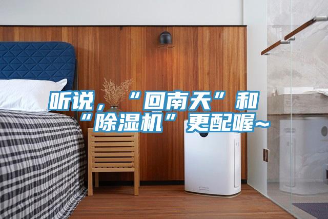 聽說，“回南天”和“除濕機(jī)”更配喔~