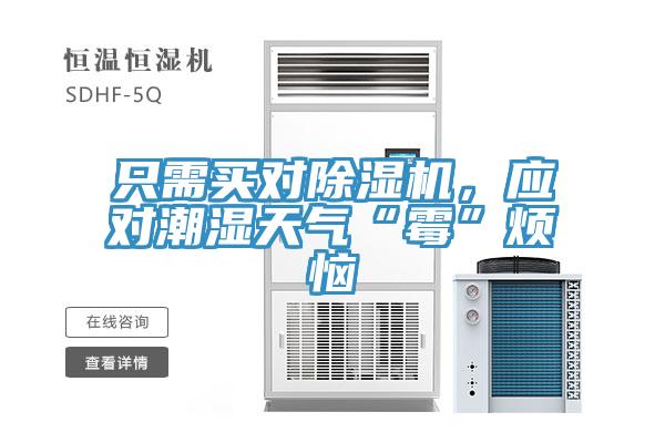 只需買對(duì)除濕機(jī)，應(yīng)對(duì)潮濕天氣“霉”煩惱